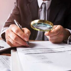 auditor