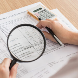 auditor, Dövlət auditi,