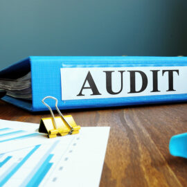 auditor