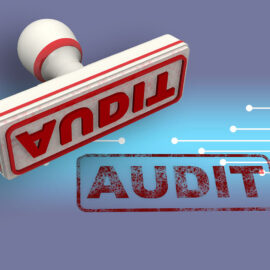 auditor