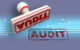 auditor