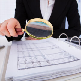 auditor